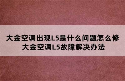 大金空调出现L5是什么问题怎么修 大金空调L5故障解决办法